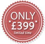 website-design-only-399