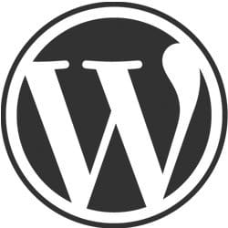 Wordpress web design experts Essex