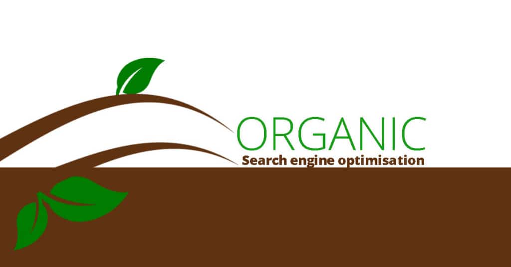 organic-seo-business