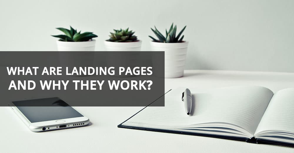 what our landing pages basildon website design